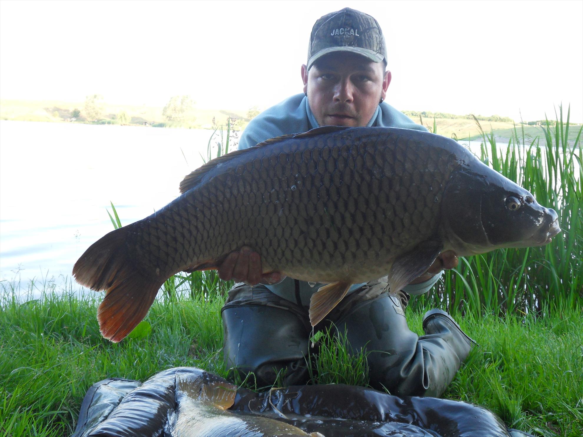 Cetariu 2011 - cetariu2011-105.JPG